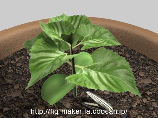 Cinama4Dで植物の生長アニメーション