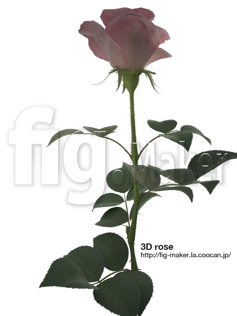 http://fig-maker.la.coocan.jp/blog/items/rose/rose1.jpg