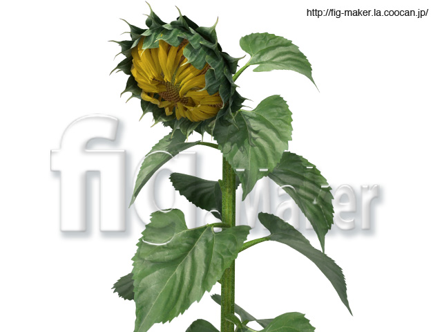 http://fig-maker.la.coocan.jp/blog/items/sunflower01.jpg