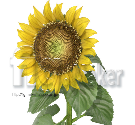 http://fig-maker.la.coocan.jp/blog/items/sunflower02.jpg